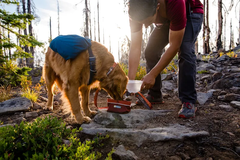 Ruffwear Front Range Day Pack - Blue Moon-7